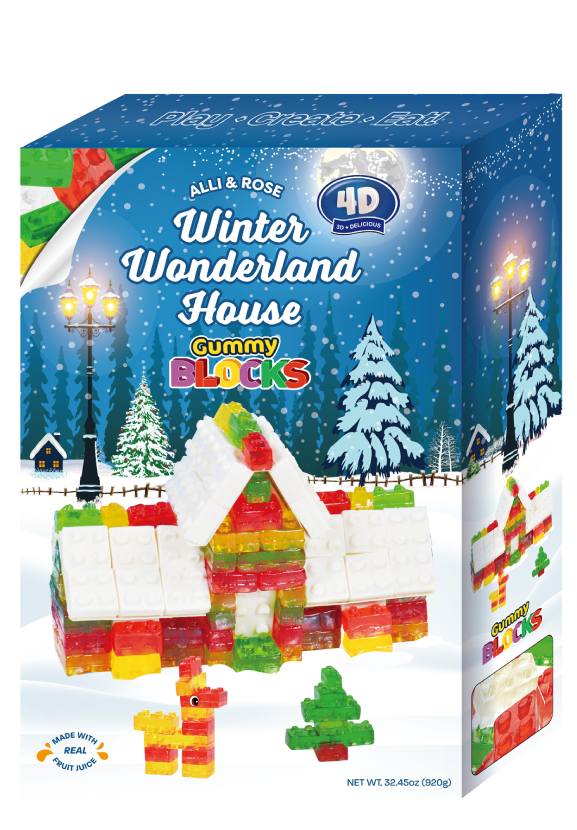 Winter Wonderland House