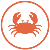 Website_Icons_Crab